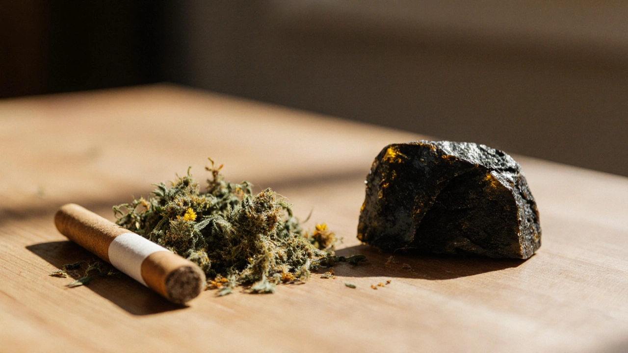Rozdíl mezi marihuanou a hašišem: co vlastně piješ nebo kouříš?