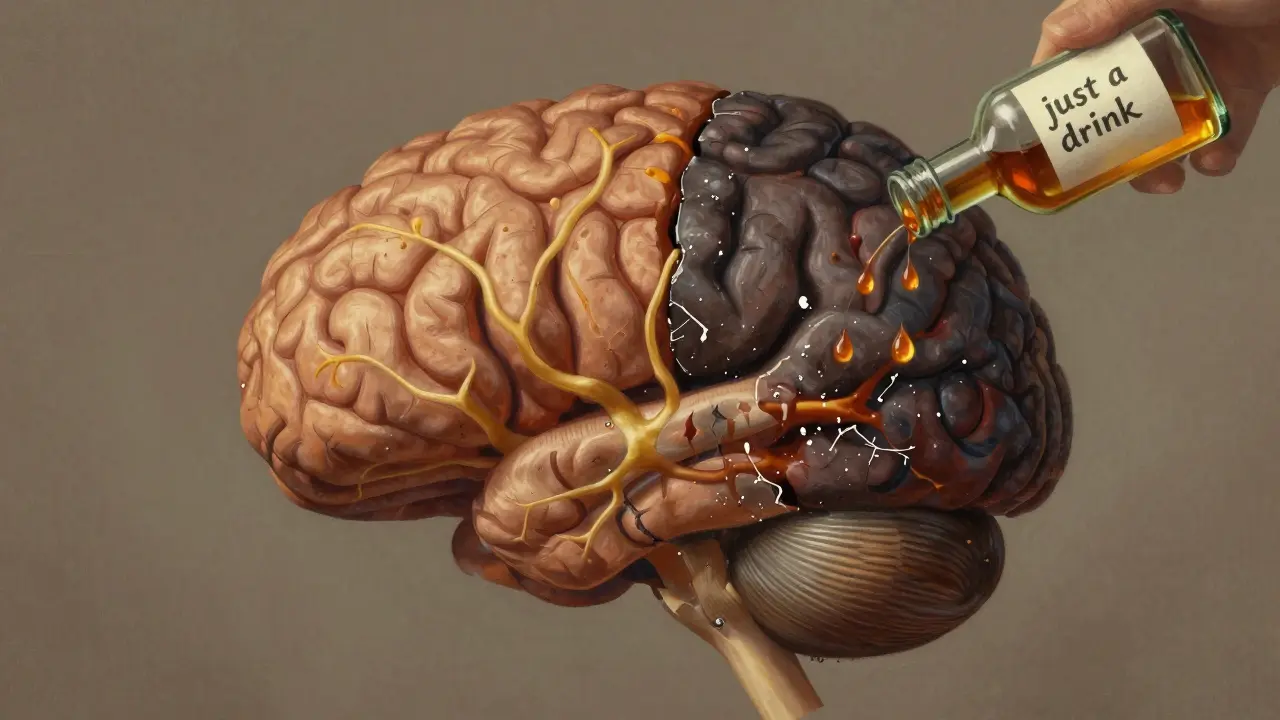 Křehký lidský mozek s jednou zdravou a jednou poškozenou polovinou, symbolizující účinky alkoholu a drog.