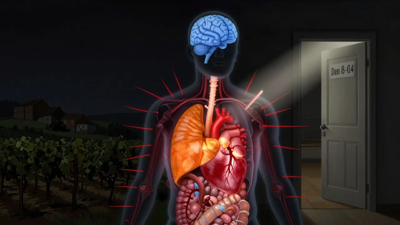 Silueta lidského těla s vykreslenými vnitřními orgány a příznaky odvykání, které ustupují do světla.